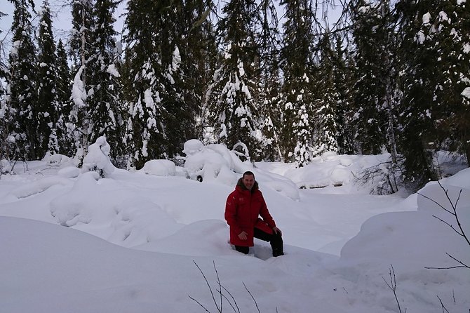 Korouoma Canyon & Ranua Zoo Tour - Why this Korouoma Canyon + Ranua Zoo combo makes sense from Rovaniemi