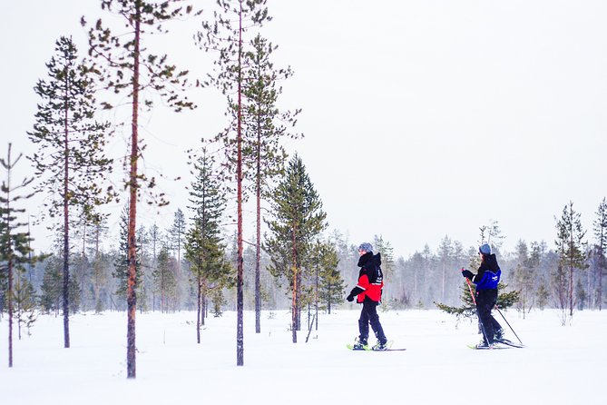 Korouoma Canyon Snowshoe Trip - Quick hits before you go
