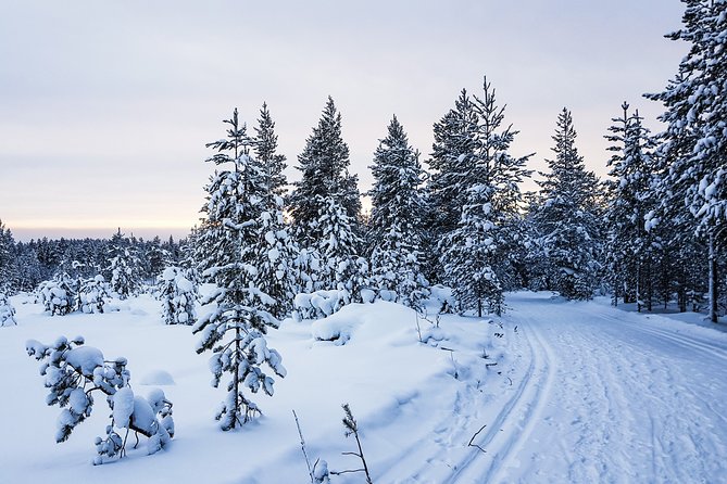 Korouoma Canyon Snowshoe Trip - Lunch by the fire: why the meal is more than just a break