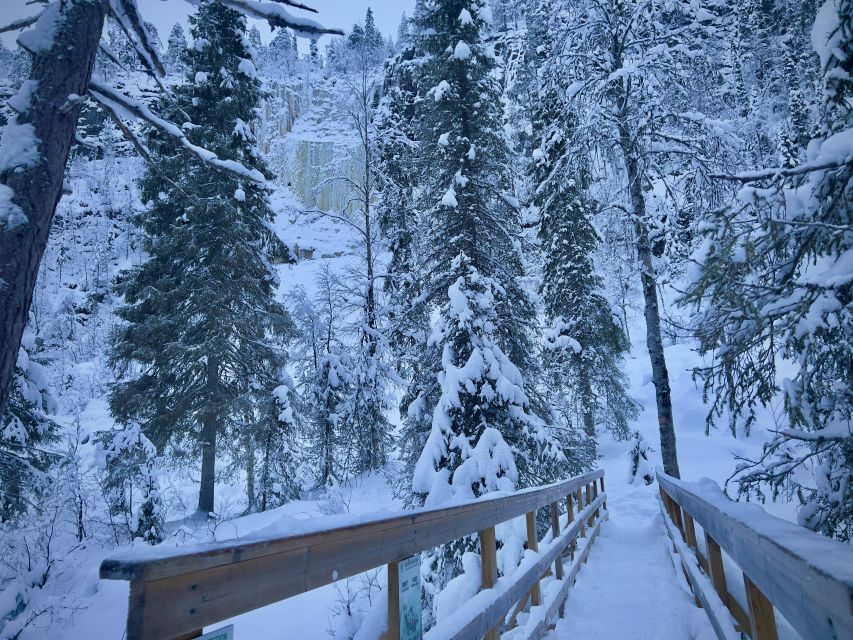 Korouoma: Frozen Waterfall Hiking Tour - The campfire picnic and traditional Lapland barbecue payoff