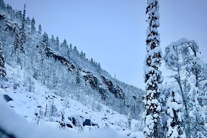 Korouoma Frozen Waterfalls Hiking Tour - Price and Value: Why $155.77 Can Make Sense Here