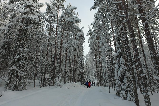 Korouoma national park and frozen waterfalls hiking tour - Why Korouoma frozen waterfalls feel so different in winter