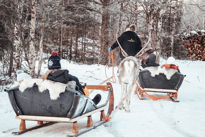 Kuoksa Reindeer Adventure - Warming Up in a Teepee: Hot Juice, Cookies, and Firelit Calm