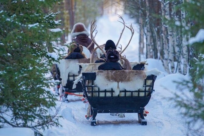 Kuoksa Reindeer Farm Visit with a Short Sleigh Ride - Price and Value: What $155.33 Really Buys