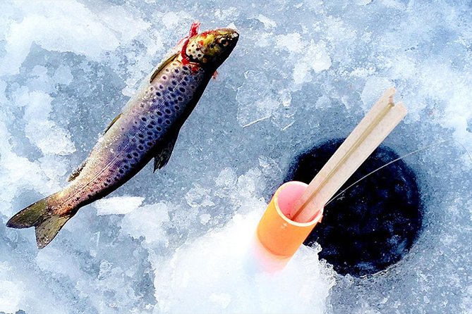 Lakeside Sauna Trip with Ice Fishing and Ice Swimming - The lunch stop: Lappish campfire BBQ comfort food
