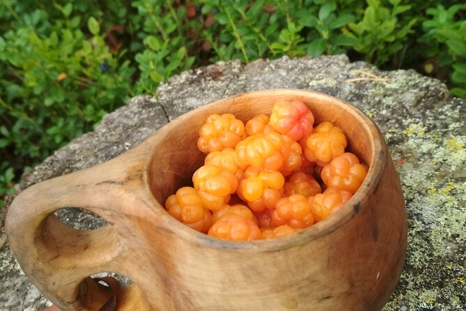 Lapland Berry Day Experience - Price and Value: $133.44 for a Real 3-Hour Foraging Lesson