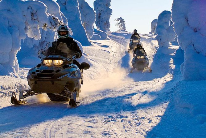 Lapland Family Snowmobile Safari from Rovaniemi - What the Ride Feels Like: Guided Pace Through Snowy Woods