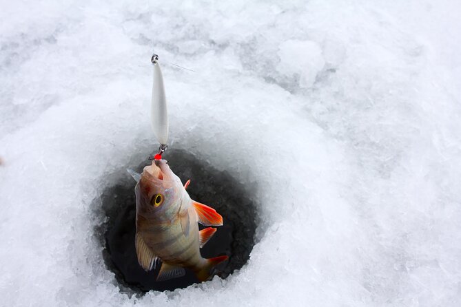 Lapland Ice Fishing Experience from Rovaniemi - The ice fishing lesson: what you’re actually doing