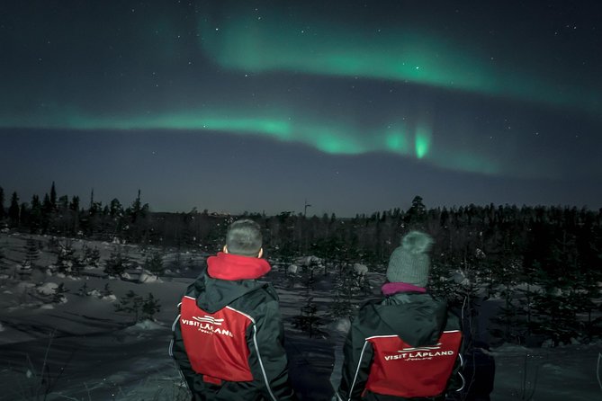 Lapland In A Day - Reindeer, Sledding, Snowmobile & Nature - Key highlights