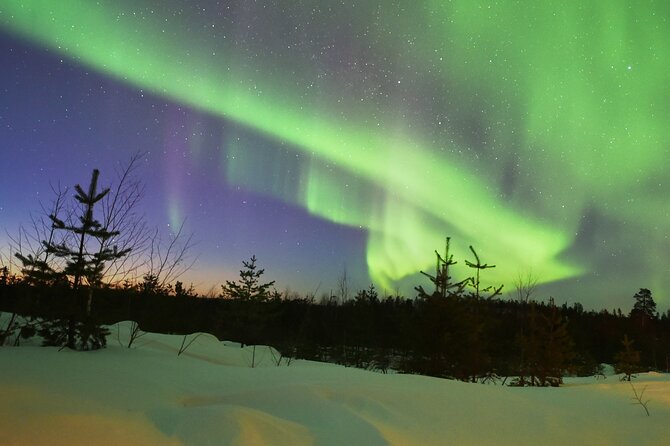 Lapland In A Day - Reindeer, Sledding, Snowmobile & Nature - Northern Lights timing: when the sky actually cooperates