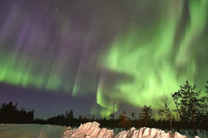 Lapland In A Day - Reindeer, Sledding, Snowmobile & Nature - Small-group comfort and value in a packed half-day