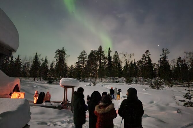 Lapland In A Day - Reindeer, Sledding, Snowmobile & Nature - Should you book this Lapland In A Day tour?