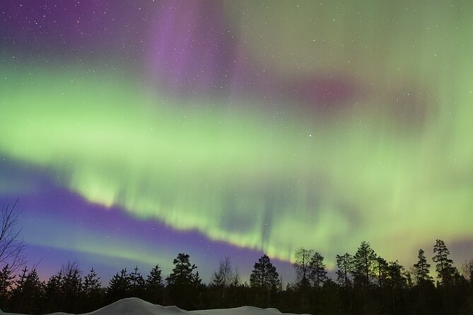 Lapland In A Day - Reindeer, Sledding, Snowmobile & Nature - FAQ