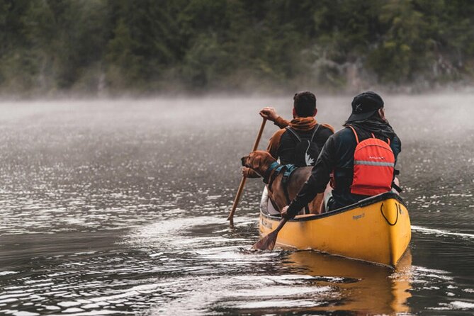 Lapland Kayak Adventure in Rovaniemi - Price of $120.41: is it worth it in Rovaniemi?