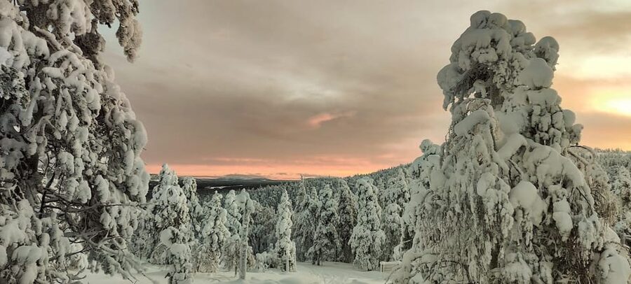 Lapland: Private Snowmobile Safari with arctic Local Guide - Key points worth knowing before you go