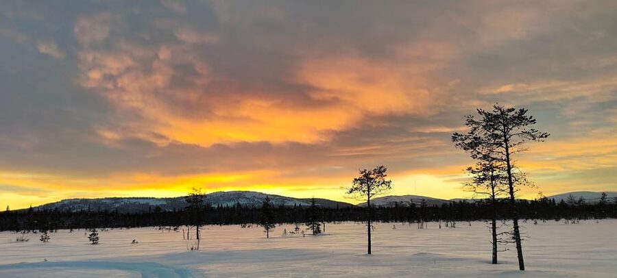 Lapland: Private Snowmobile Safari with arctic Local Guide - Private Snowmobile Safari in Luosto: the feel you get with a local family guide