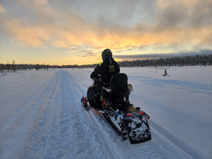 Lapland: Private Snowmobile Safari with arctic Local Guide - Northern lights odds: what the evening slot changes