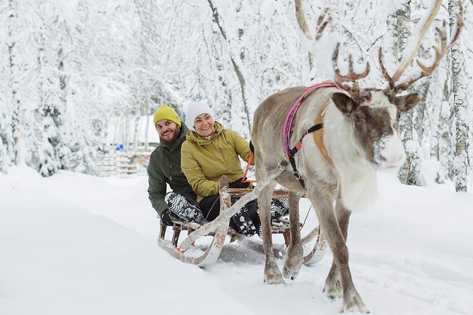 Lapland Reindeer and Husky Safari from Rovaniemi - What the price covers—and what you should budget for