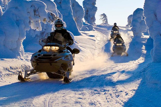 Lapland Snowmobile Safari from Rovaniemi - Key Highlights You’ll Feel Right Away