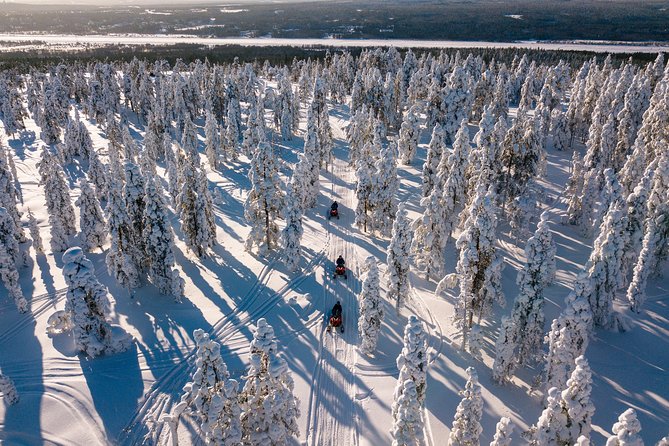 Lapland Snowmobile Safari from Rovaniemi - The Kind of Guide You Want in the Snow: Friendly and Instruction-First