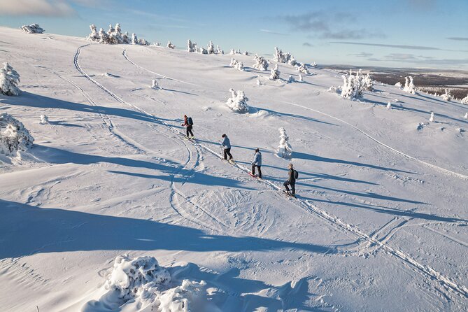 Lapland Wilderness Adventure – Explore Wild Arctic Trails - Key highlights in plain terms