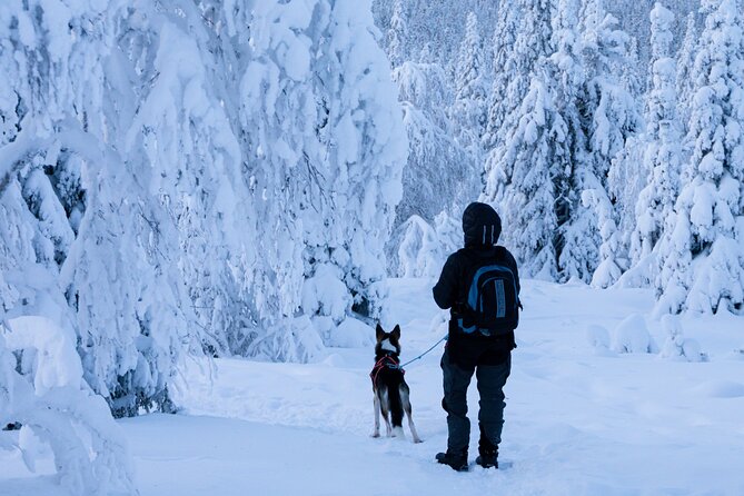 Lapland Wilderness Adventure – Explore Wild Arctic Trails - Äkäslompolo: The Village Door to 330 km of Winter Trails