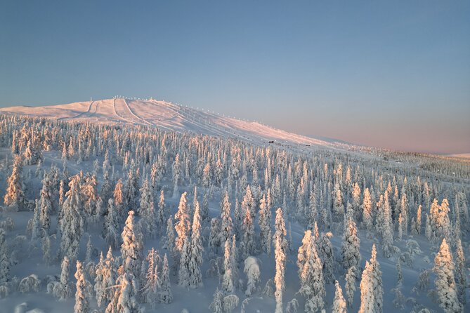 Lapland Wilderness Adventure – Explore Wild Arctic Trails - Price and value: what $157.21 buys you in real comfort