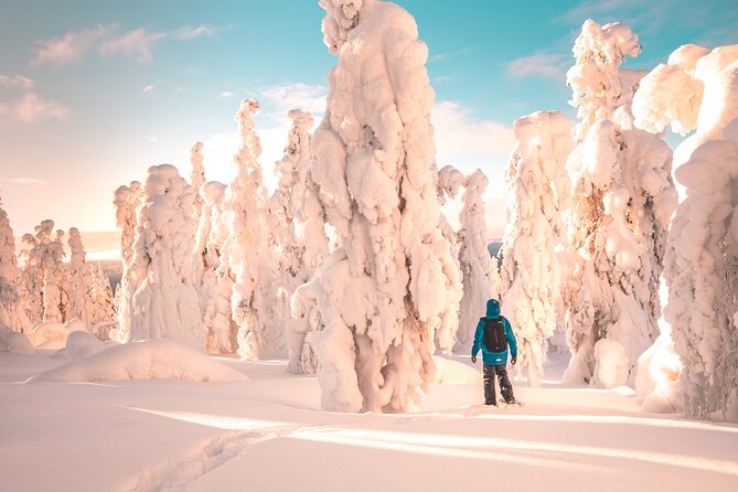 Lapland Winter Experience - Key Highlights You’ll Care About