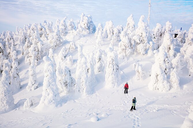 Lapland Winter Experience - Gear, Pace, and Who This Tour Fits Best