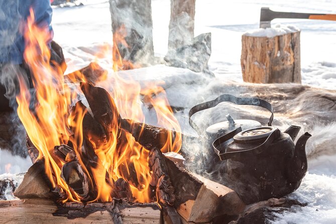 Lapland Winter Experience - Price Check: $119.27 Per Person and What You’re Actually Paying For