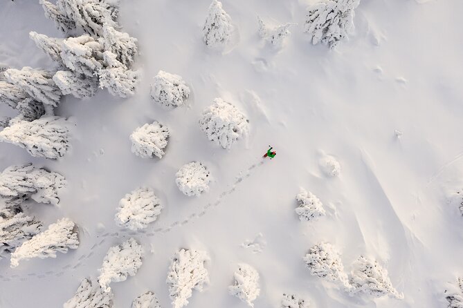 Lapland Winter Experience - Meeting Point and Hotel Pickup Timing That Actually Matters