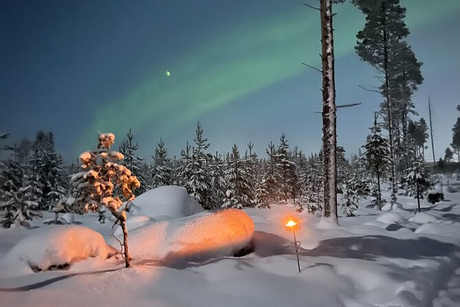 Late Night Ride with Finnhorses - Aurora Horses Start: Safety, Helmet, and Meeting Your Finnhorse