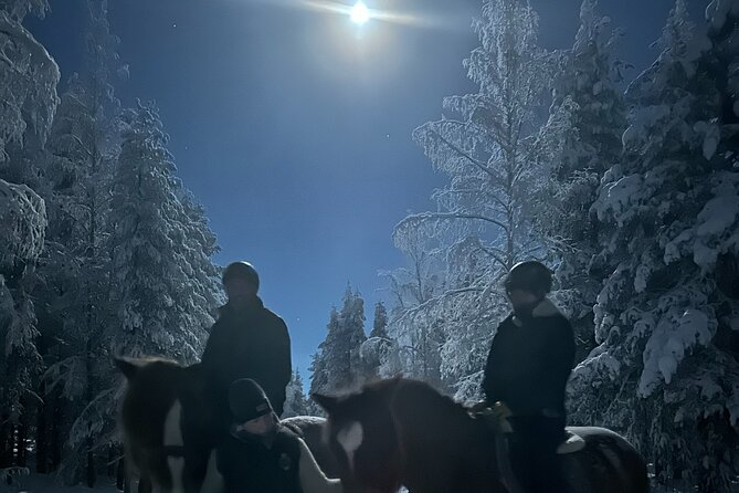 Late Night Ride with Finnhorses - A Quick Book-or-Skip Checklist