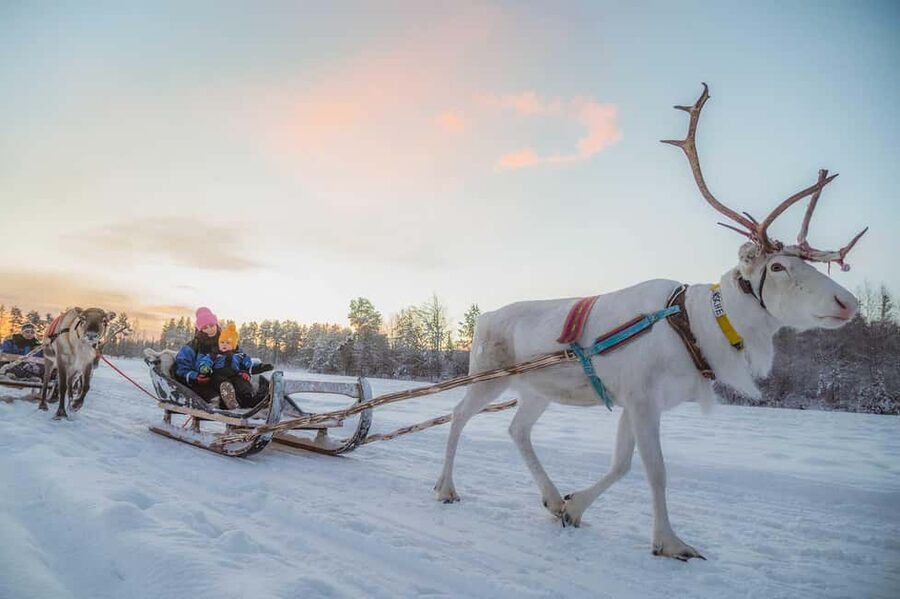 Magical Private Santa Visit, Reindeer Ride & Elf Workshops - The reindeer sleigh ride through the snowy forest