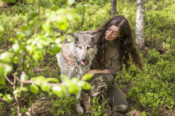 Meet Taivas & the Arctic Wolves - Private Tour - Where Arctic Wolfland Sanctuary sits (and why that changes the feel)