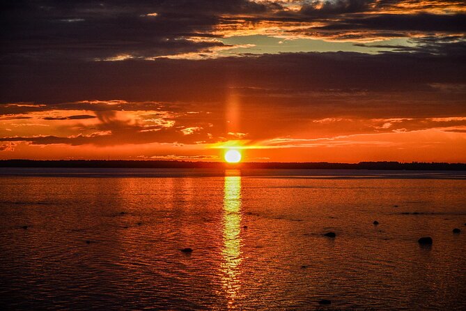 Midnight Sun Floating Experience in Forest Lake - Why the Guide Matters More Than You Think