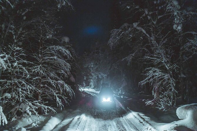Night Snowmobile Safari, Rovaniemi - Who should book this snowmobile safari