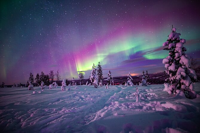 Night Snowshoeing Adventure under the Northern Lights - Quick take before you go