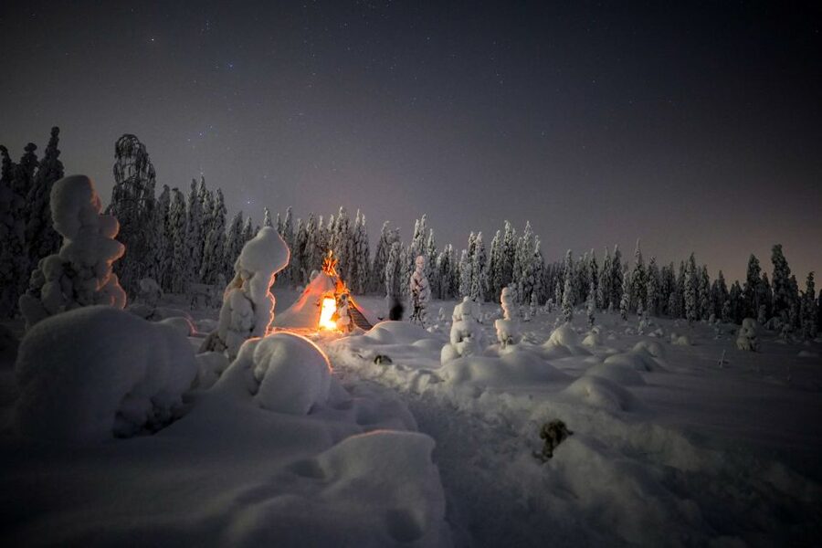 Night Snowshoeing Adventure under the Northern Lights - Should You Book Night Snowshoeing in Lapland for the Aurora?