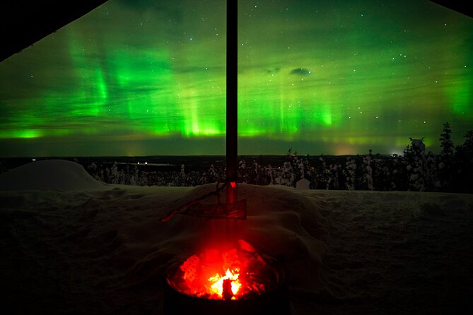 Night Snowshoeing Adventure under the Northern Lights - Night Snowshoeing Under the Northern Lights: What You’re Really Signing Up For