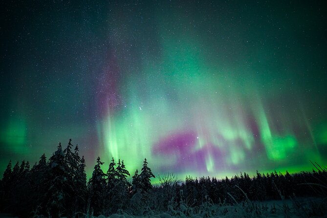Night Snowshoeing Adventure under the Northern Lights - The Kota Campfire Break: Warm Food and a Real Fire-Making Lesson