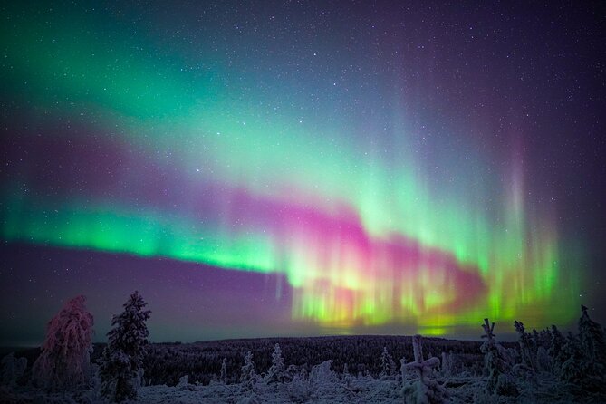 Night Snowshoeing Adventure under the Northern Lights - Price and Value (About $123): What You Get for Your Money