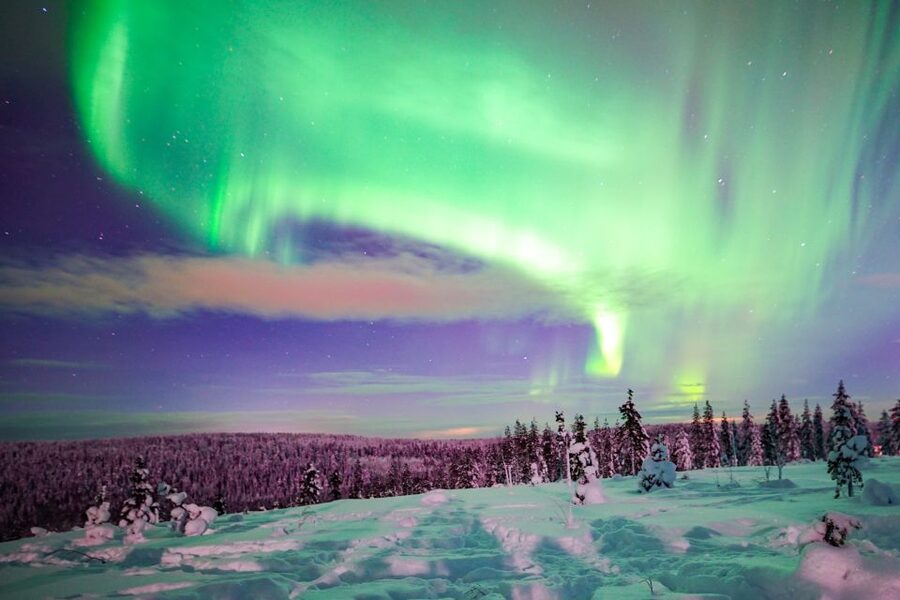 Night Snowshoeing Adventure under the Northern Lights - Who Should Book This Tour (and Who Might Skip It)