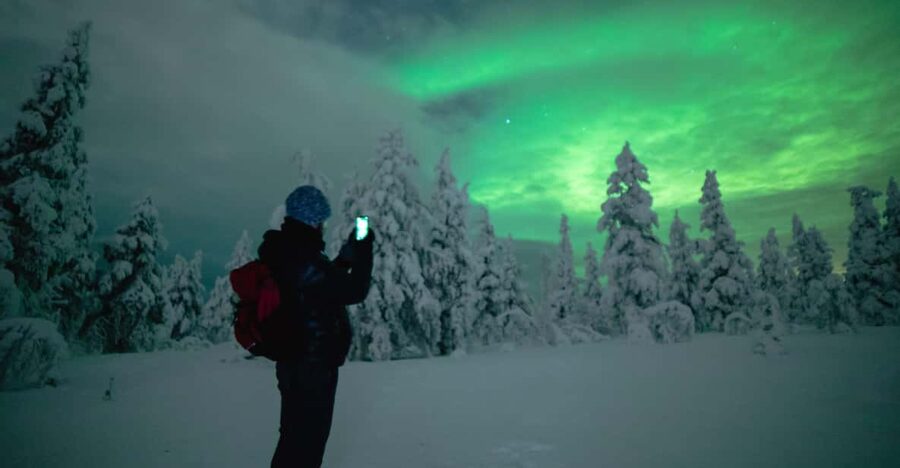 Night Snowshoeing Lapland Experience - A guided 3-hour walk: how the evening usually unfolds