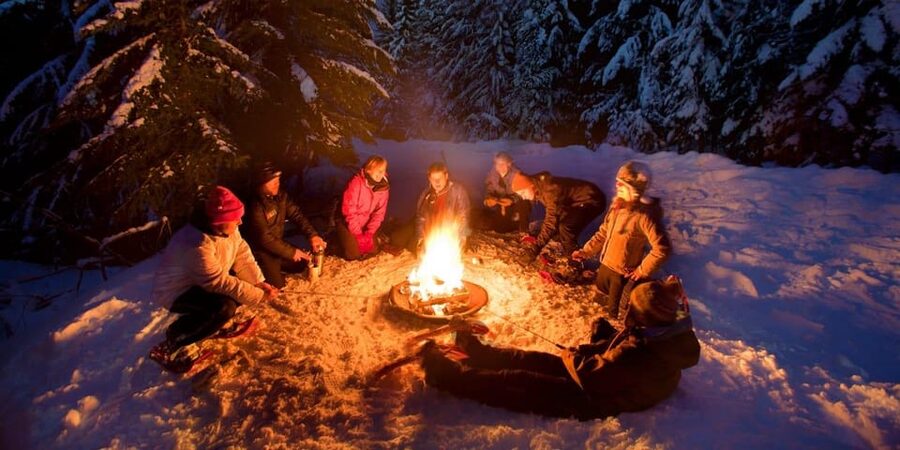 Night Snowshoeing Lapland Experience - Guides who actually talk: wildlife facts, friendly vibes, and language support