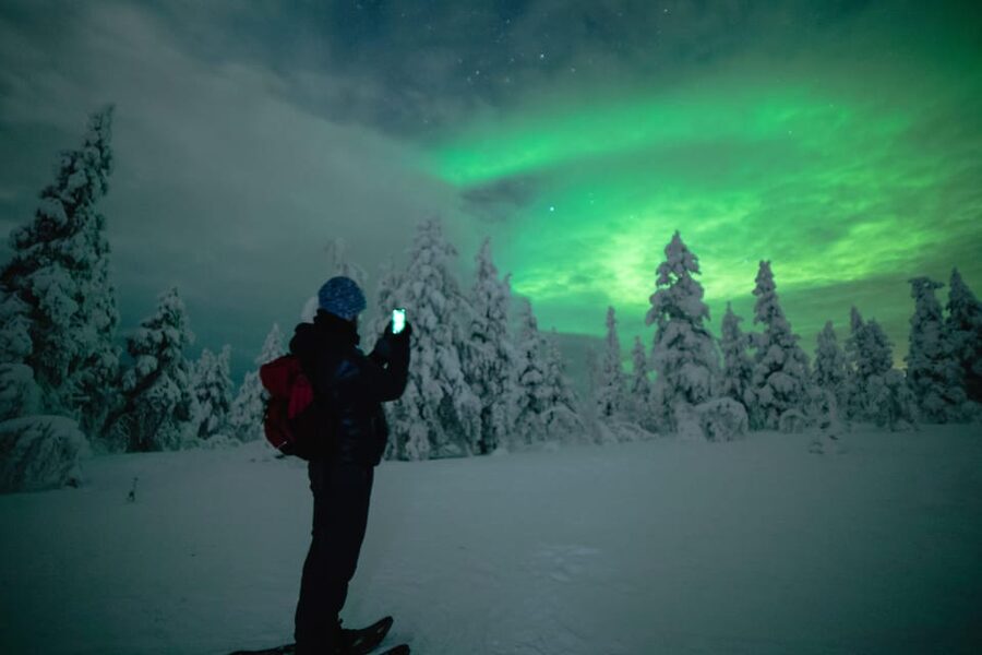 Night Snowshoeing Lapland Experience - Price and value: is $176 per person fair?