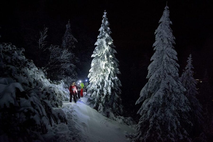 Night Snowshoeing Lapland Experience - Gear, pickup, and the small-group advantage (max 2)