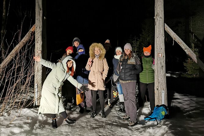 Northern Lights Auroras from Kemi-Tornio with Pickup - What the 3-hour format feels like on a cold Lapland evening