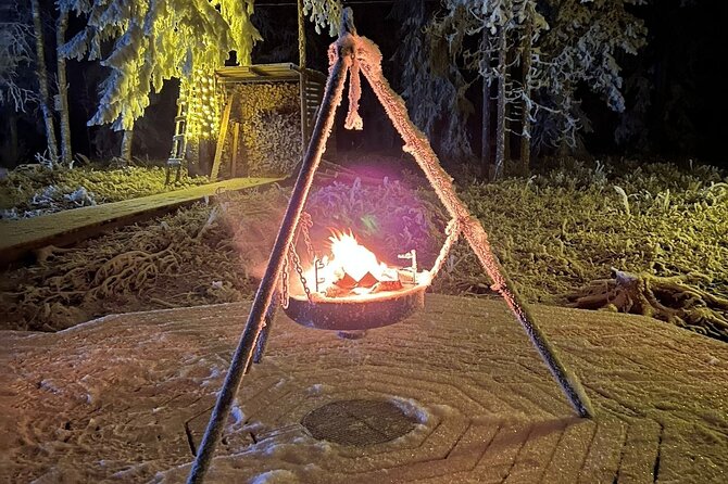 Northern Lights dinner in a Glass Igloo - Dinner inside the igloo: local snacks, a real meal, and host explanations