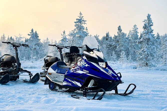 Northern Lights dinner in a Glass Igloo - Snowmobile and winter fun: what happens after dinner